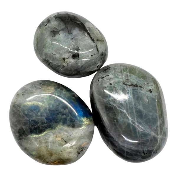 Mystic Labradorite Palm