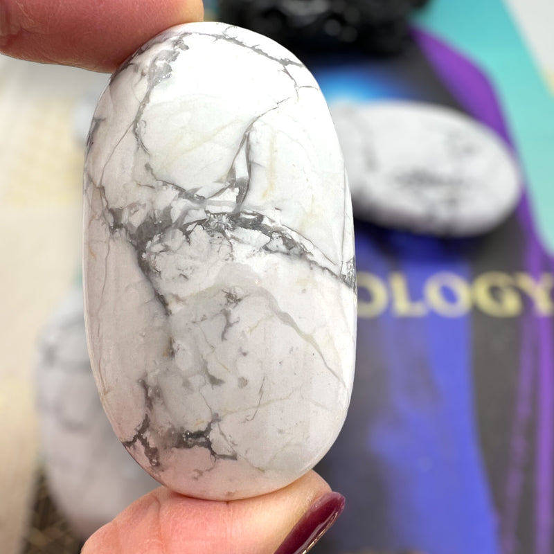 Howlite Palmstone in Limited Edition Box